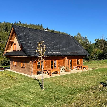Apartmány Orlice Červená Voda Exteriér fotografie