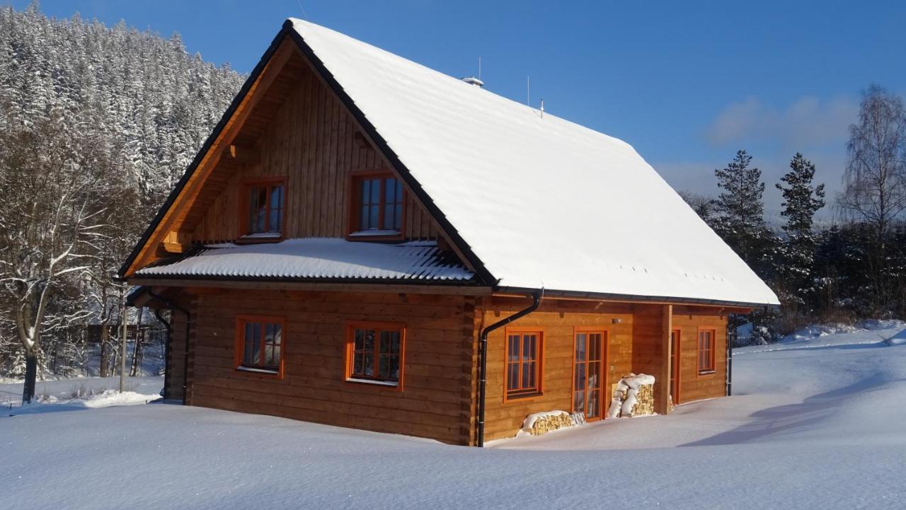 Apartmány Orlice Červená Voda Exteriér fotografie