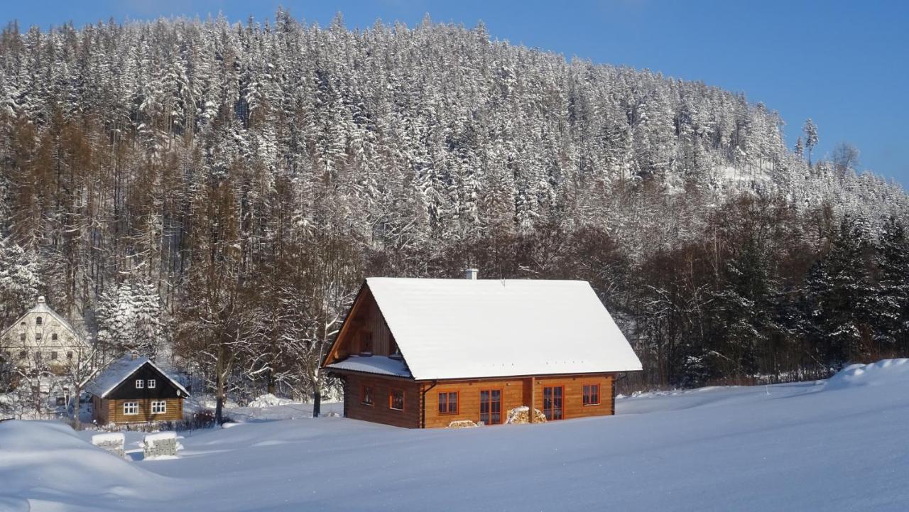 Apartmány Orlice Červená Voda Exteriér fotografie